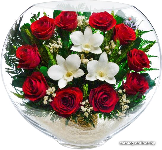 Цветы, букеты Natural Flower Products Композиция из красных роз и белых орхидей LST-04
Цветы, букеты Natural Flower Products Композиция из красных роз и белых орхидей LST-04
