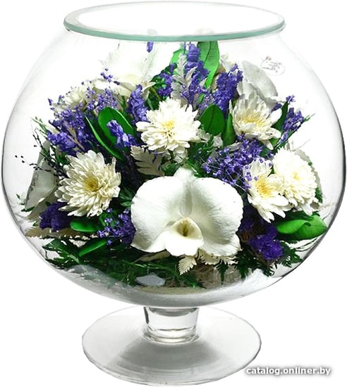 Цветы, букеты Natural Flower Products Композиция из белых орхидей и белых хризантем NQT9
Цветы, букеты Natural Flower Products Композиция из белых орхидей и белых хризантем NQT9