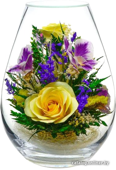 Цветы, букеты Natural Flower Products Композиция из белых роз и фиолетово-белых орхидей MTT1
Цветы, букеты Natural Flower Products Композиция из белых роз и фиолетово-белых орхидей MTT1