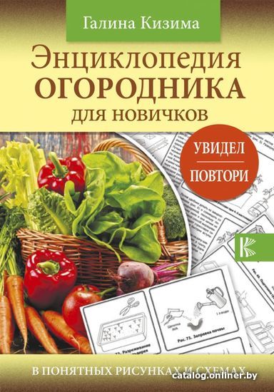 Книга издательства АСТ. Энциклопедия огородника для новичков в понятных рисунках и схемах. Увидел - повтори (Кизима Галина Александровна)
Книга издательства АСТ. Энциклопедия огородника для новичков в понятных рисунках и схемах. Увидел - повтори (Кизима Галина Александровна)