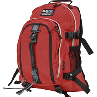 Городской рюкзак Polar П955 (бордовый)