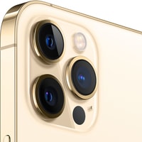 Смартфон Apple iPhone 12 Pro Max Dual SIM 256GB (золотой)