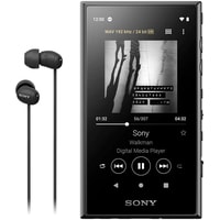 Hi-Fi плеер Sony Walkman NW-A105HN (черный, с наушниками) в Борисове