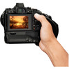 Беззеркальный фотоаппарат Olympus OM-D E-M1 Kit 12-50mm