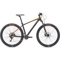 Велосипед Giant Terrago 29 2 GE (2019) в Могилеве