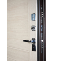 Металлическая дверь Промет Винтер 205x98 (беленый дуб/антик медь, правый)
