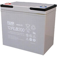 Аккумулятор для ИБП FIAMM 12FLB200P (12В/55 А·ч)
