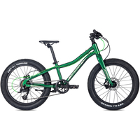 Детский велосипед Merida Matts J20+ Pro 2022 (зеленый)