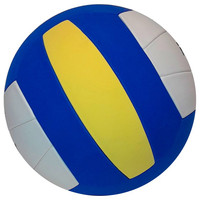 Волейбольный мяч Fora FV-3001 (5 размер)