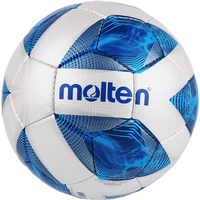 Футзальный мяч Molten F9A4800 (размер 4)