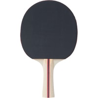 Ракетка для настольного тенниса TORNEO Tour TI-B2000