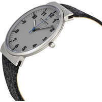 Наручные часы Skagen SKW6097