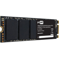 SSD PC Pet 2TB PCPS002T1