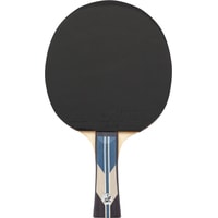 Ракетка для настольного тенниса TORNEO Tour Plus TI-B3000