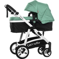 Универсальная коляска Baby Tilly Futuro T-165 (forest green)