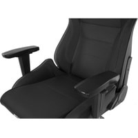 Кресло AKRacing Pro (черный)