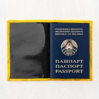 Обложка для паспорта Vokladki Пшеница 11016