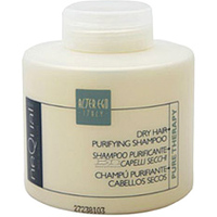 Шампунь AlterEgo Шампунь очищающий для сухих волос Dry Hair Purifying (250 мл)