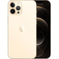 Смартфон Apple iPhone 12 Pro Max Dual SIM 128GB (золотой)