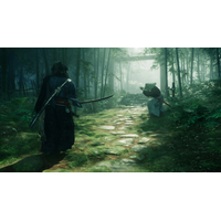  Rise Of The Ronin для PlayStation 5
