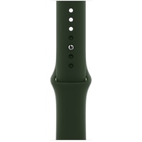 Умные часы Apple Watch Series 6 LTE 44 мм (сталь золотистый/зеленый спортивный)