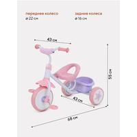 Детский велосипед Rant Basic Champ RB251 (розовый)