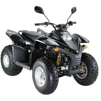 Квадроцикл Stels ATV 100RS (черный)