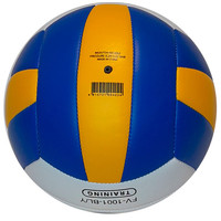 Волейбольный мяч Fora FV-1001-BL/Y (5 размер)