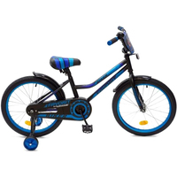 Детский велосипед Favorit Biker BIK-P20 (синий)