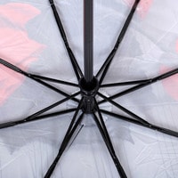 Складной зонт Flioraj 013-048