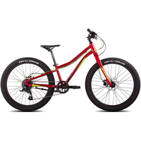 Велосипед Merida Matts J24+ Pro 2023 (красный)