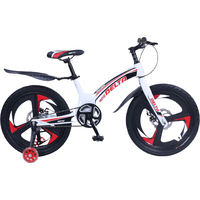 Детский велосипед Delta Prestige Maxx D 20 2022 (белый, литые диски)
