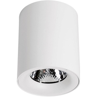 Точечный светильник Arte Lamp Facile A5130PL-1WH