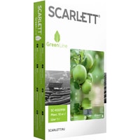 Кухонные весы Scarlett SC-KS57P91