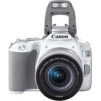 Зеркальный фотоаппарат Canon EOS 250D Kit 18-55 IS STM (белый)