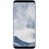 Смартфон Samsung Galaxy S8+ 64GB (арктический серебристый) [G955F]