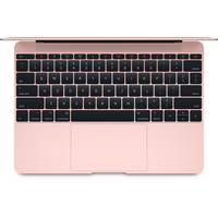 Ноутбук Apple MacBook (2017 год) [MNYM2]