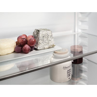 Однокамерный холодильник Liebherr SRsde 5220 Plus
