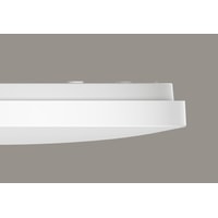 Светильник-тарелка Xiaomi Mi Smart LED Ceiling Light в Витебске