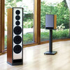 Полочная акустика PSB Speakers Platinum M2 Monitor