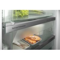 Однокамерный холодильник Liebherr IRBd 5170 Peak BioFresh