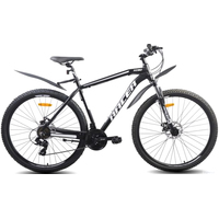 Велосипед Racer XC90 29 2023 (черный/белый)