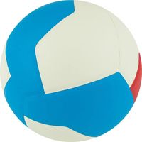 Волейбольный мяч Gala Training Heavy 12 BV 5475 S (размер 5, белый/синий)