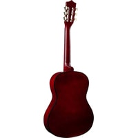 Акустическая гитара Terris TC-3801A SB