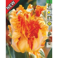 Семена цветов Holland Bulb Market Тюльпан Parrot King (2 шт)