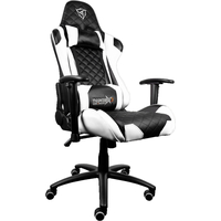 Кресло ThunderX3 TGC12 (черный/белый)