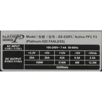 Блок питания Seasonic Platinum-520 Fanless 520W (SS-520FL2 Active PFC F3)
