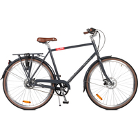 Велосипед Shulz Roadkiller Disk L 2023 (серый)