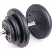 Гантель Central Sport 36.5 кг