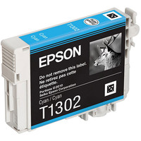 Картридж Epson C13T13024010
